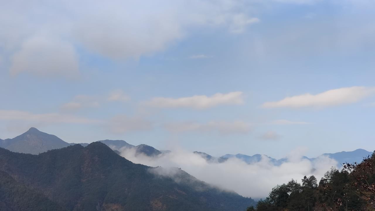 home-banner-background